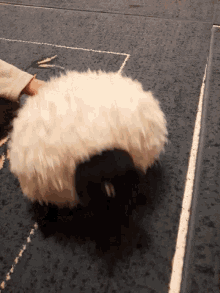 Sheep Toy GIF - Sheep Toy Dance GIFs