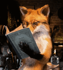 Fox Magic Magical Fox GIF - Fox Magic Magical Fox GIFs