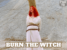 burn the witch frances conroy pyre fire burn