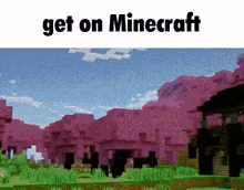 Get On Get On Minecraft GIF