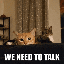 We Need To Talk Lets Talk GIF