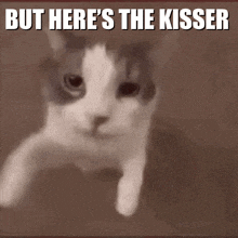 But Heres The But Heres The Kisser GIF - But Heres The But Heres The Kisser Heres The GIFs
