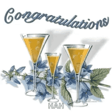 Congratulations Cheers GIF - Congratulations Cheers Hah GIFs
