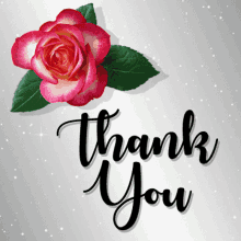 Thank You Rose GIF - Thank You Rose Flower GIFs