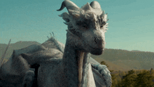 a close up of a white dragon looking at the camera