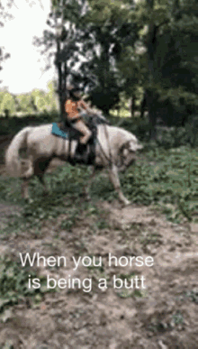 Annoyinghorse Meanhorse GIF - Annoyinghorse Meanhorse GIFs