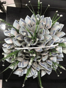 Moneyflower GIF - Moneyflower GIFs