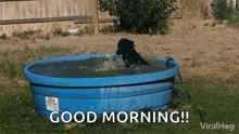 Viralhog Labrador GIF - Viralhog Labrador Splashing GIFs