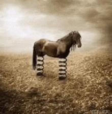 Horse Funny GIF - Horse Funny Despair GIFs
