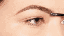 Brow Beauty GIF - Brow Beauty Eyebrows GIFs
