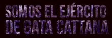 Eterna Gata Cattana GIF - Eterna Gata Cattana El Ejército De Gata Cattana GIFs