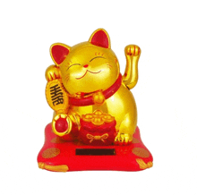 a golden cat with a red collar is sitting on a red mat