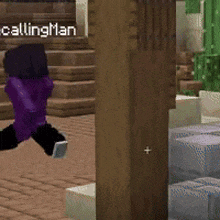 a man in a purple jacket is walking in a video game with the name recallingman written above him .