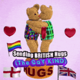 a couple of teddy bears hugging with the words sending british hugs the gay kind