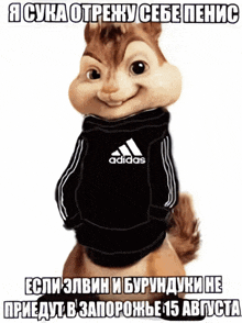a chipmunk wearing a black adidas sweater