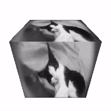 authenyo sigma rizz 3d gif cube ice cube