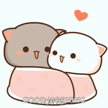 a couple of cats hugging each other with a heart .