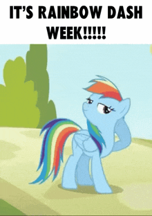 a picture of a pony with the words it 's rainbow dash week !!!