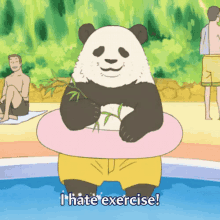 Panda Gets It GIF - Exercise Panda Lazy GIFs