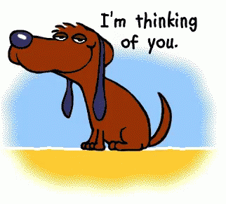 Thinking Of You Dog GIF - Thinking Of You Dog Wink - Discover & Share GIFs