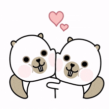 beaver white cute lovely couple