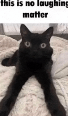 a black cat is laying on a bed with the caption this is no laughing matter .