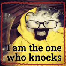 i am one angry cat walter white
