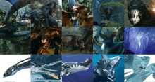 Avatar Creatures Of Pandora GIF - Avatar Creatures Of Pandora Avatar Creature Roster GIFs