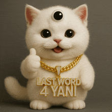 a cat wearing a necklace that says last word 4 yani is giving a thumbs up