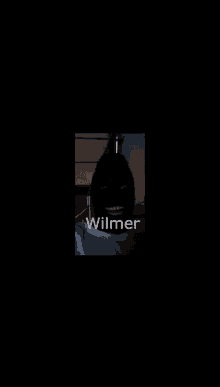 Wilmer Black Man GIF - Wilmer Black Man Black GIFs