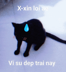 a black cat with a blue drop of water on its forehead and the words x-xin loi ae vi su dep trai nay