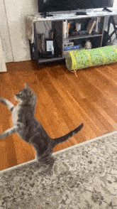 a cat is standing on its hind legs in a living room in front of a tv .