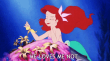 He Loves Me Not - The Little Mermaid GIF - The Little Mermaid Little Mermaid Ariel GIFs