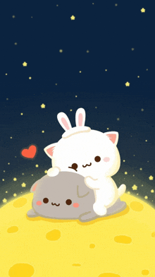 a cat and a rabbit are laying on a moon