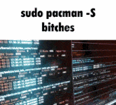 Linux Sudo GIF - Linux Sudo Pacman GIFs