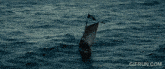 a gif from gifrun.com shows a boat in the middle of a large body of water