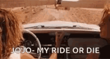 Thelma And Louise Vintage GIF