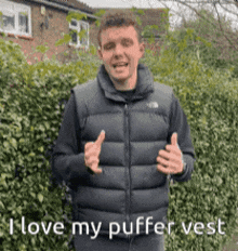 Puffer Vest The North Face GIF