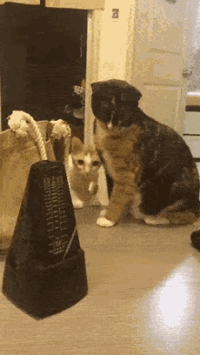 Cats Metronome GIF - Cats Metronome GIFs