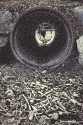a picture of a hole in a pipe with the word nozto on the bottom