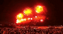 a crowd of people watching fireworks in the sky