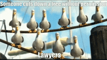 Treelaw Tree Law GIF - Treelaw Tree Law Lawyers GIFs