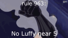 rule963 rule 963 one piece luffy