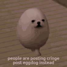 Eggdog Posting Cringe GIF