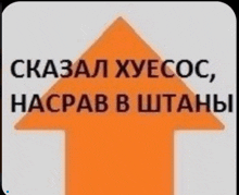 an orange arrow pointing up with the words " сказал хуесос , насрав в штаны "