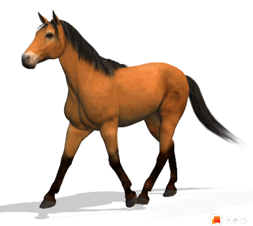 Horse Sticker - Horse Stickers