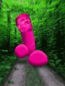 Trump Penis GIF - Trump Penis Walking GIFs