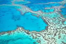 Australia Great Barrier Reef GIF - Australia Great Barrier Reef GIFs