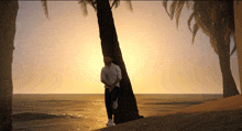 a man leaning against a palm tree on the beach