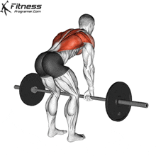 Workout Muscles GIF - Workout Muscles Back GIFs